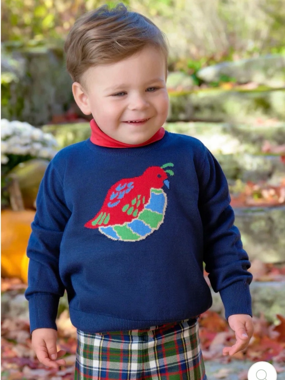 *NEW* The Beaufort Bonnet Co Quail Isaac’s Intarsia Sweater - 0-6M